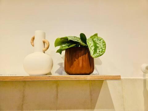 Your Boutique Mediterranean In
